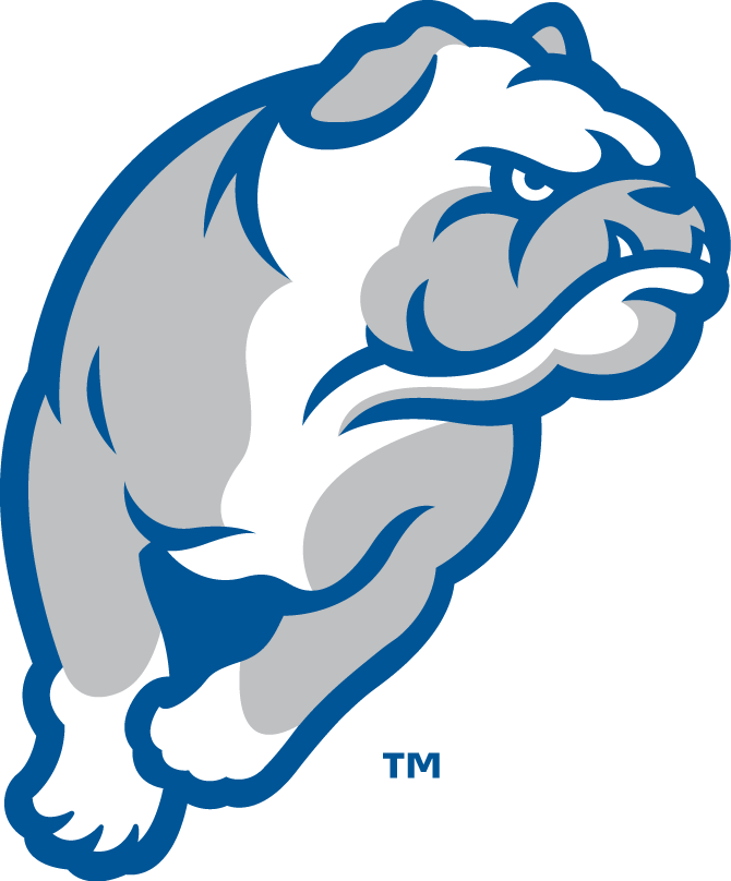 Drake Bulldogs 2015-Pres Alternate Logo v4 t shirts iron on transfers